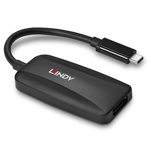 Lindy Convertisseur USB type C vers DisplayPort 1.4 pas cher