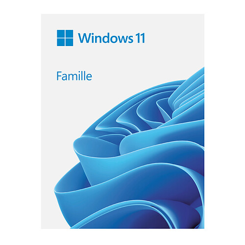 Microsoft Windows 11 Famille - Version clé USB pas cher