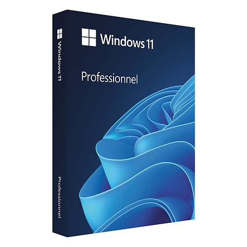 Microsoft Windows 11 Professionnel 64 bits - OEM (DVD) pas cher