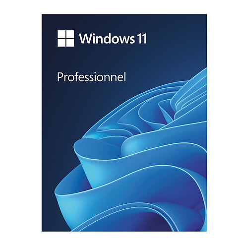 Microsoft Windows 11 Professionnel 64 bits - OEM (DVD) pas cher