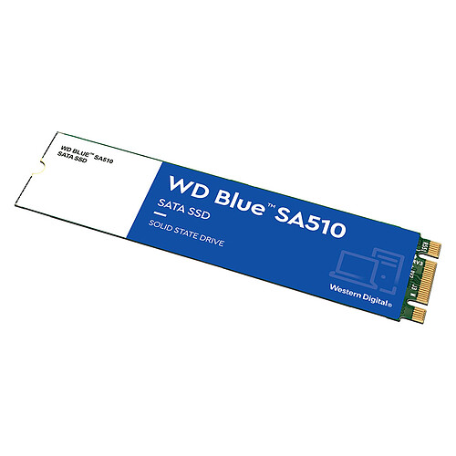 Western Digital SSD WD Blue SA510 250 Go - M.2 pas cher