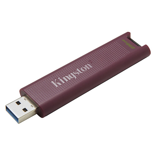 Kingston DataTraveler Max 256 Go (USB-A) pas cher
