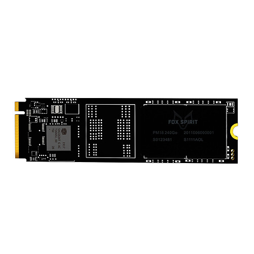 MSI H510M-A PRO + Fox Spirit PM18 M.2 2280 PCIE NVME 240 GB pas cher
