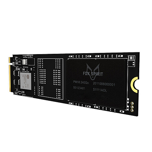 MSI MPG B550 GAMING PLUS + Fox Spirit PM18 M.2 2280 PCIE NVME 240 GB pas cher