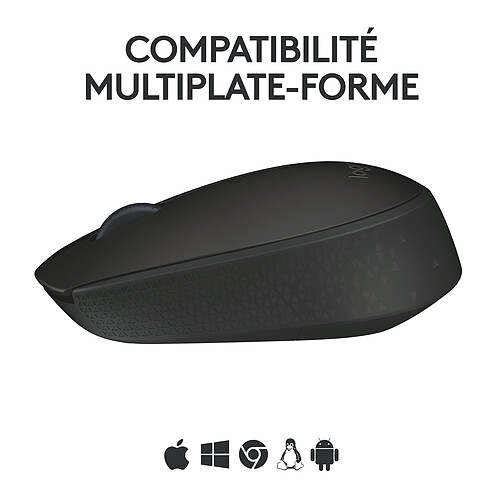 Logitech M171 Wireless Mouse (Noir) (x10) pas cher