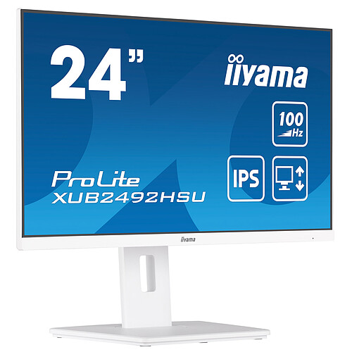 iiyama 23.8" LED - ProLite XUB2492HSU-W6 pas cher