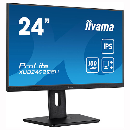 iiyama 23.8" LED - ProLite XUB2492QSU-B1 pas cher
