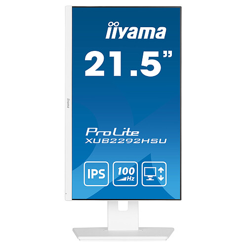 iiyama 21.5" LED - ProLite XUB2292HSU-W6 pas cher
