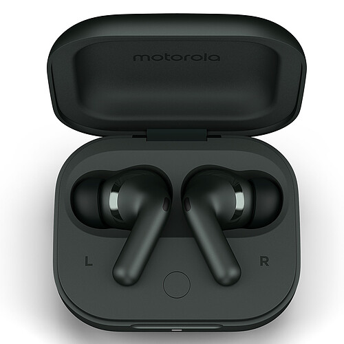 Motorola Buds+ (Gris Anthracite) pas cher