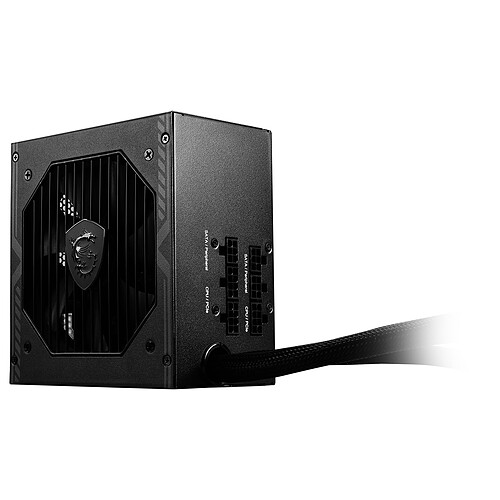 MSI MAG A650BE pas cher