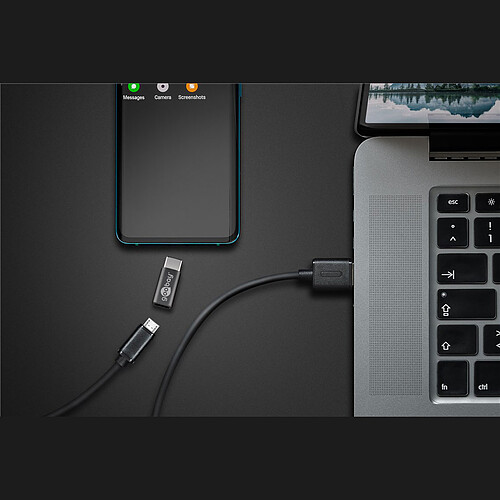 Goobay Adaptateur USB-C vers Micro-USB pas cher