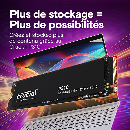 Crucial P310 500 Go 2280 pas cher