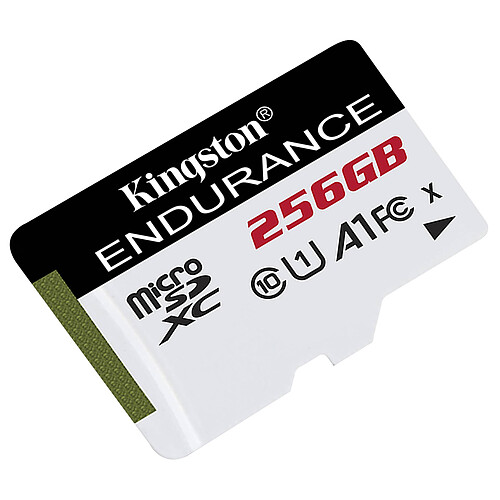 Kingston Endurance SDCE/256GB pas cher