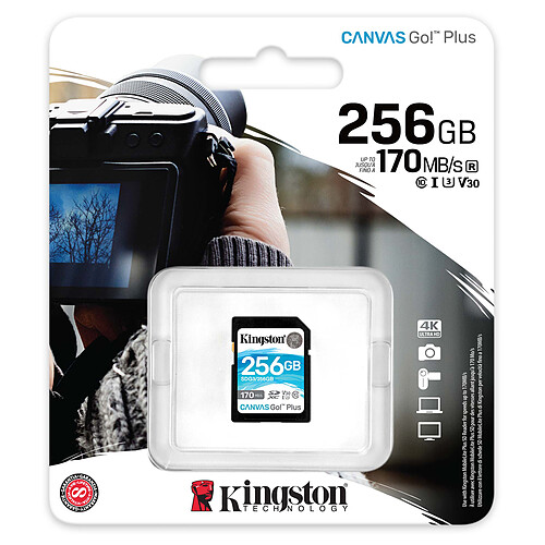 Kingston SD Plus Canvas Go! SDG3/256GB pas cher