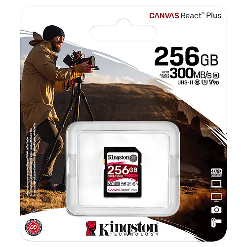 Kingston SD Canvas React Plus SDR2/256GB pas cher