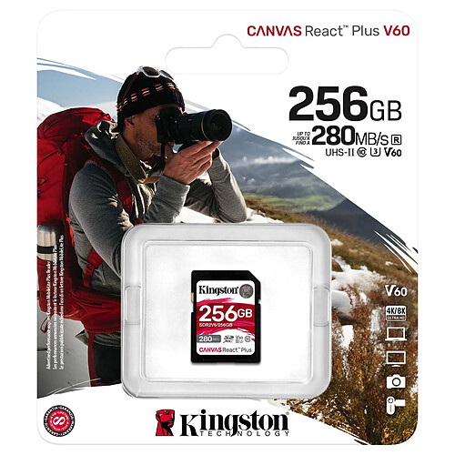 Kingston SD Canvas React Plus V60 SDR2V6/256GB pas cher