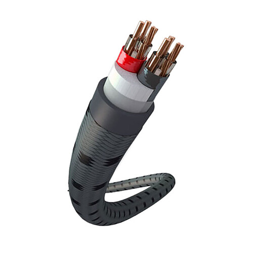 Real Cable 3D-TDC/3M (2x3m) pas cher