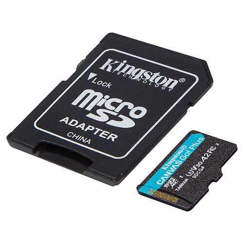 Kingston Canvas Go! Plus Gen 4 SDCG4/256GB pas cher