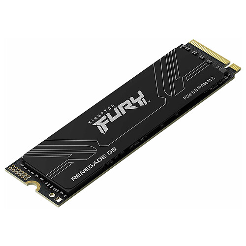 Kingston FURY Renegade G5 1 To pas cher
