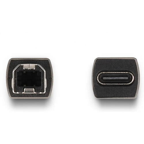 DeLock Adaptateur USB 2.0 USB-B vers USB-C pas cher