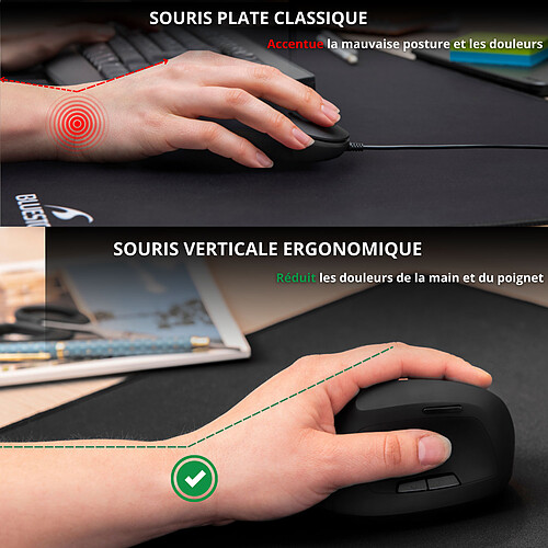 Bluestork Souris ergonomique filaire pas cher