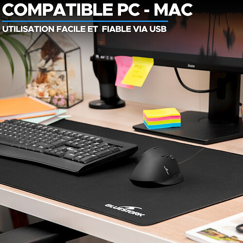 Bluestork Souris ergonomique filaire pas cher