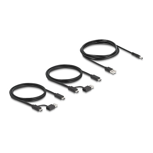 DeLock Commutateur 2 PC vers 4 périphériques USB 3.0 avec 2 entrées USB-C / 4 sorties USB-A pas cher