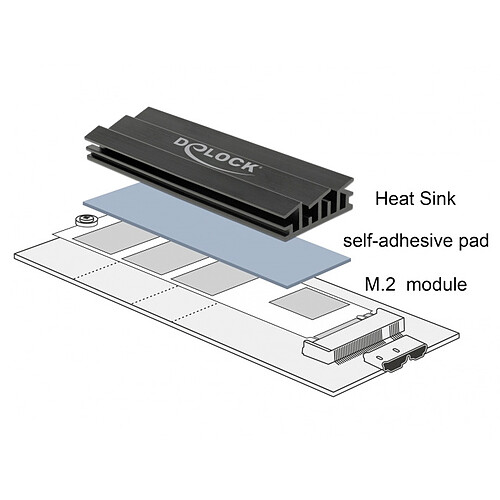 DeLock Dissipateur de chaleur 70 mm pour module M.2 Noir pas cher