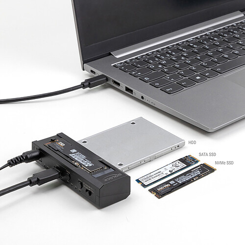 DeLock Convertisseur USB-C pour 1x SSD M.2 NVMe + 1x SATA SSD / HDD avec fonction de Clonage pas cher