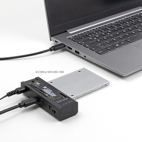 DeLock Convertisseur USB-C pour 1x SSD M.2 NVMe + 1x SATA SSD / HDD pas cher