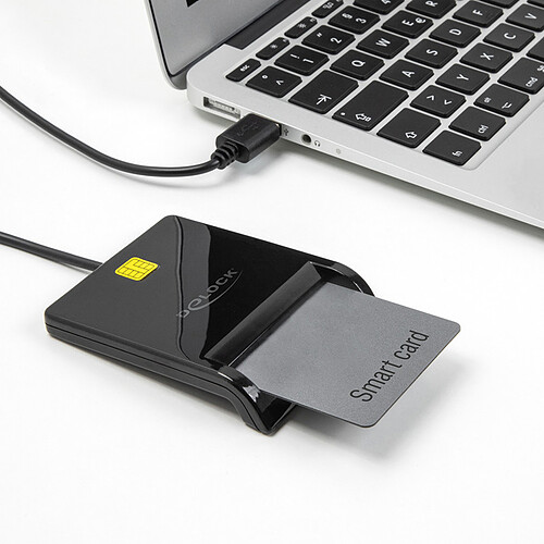DeLock Lecteur de carte Smart USB 2.0 pour cartes à puce - Noir pas cher
