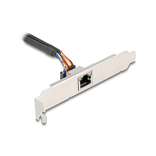 DeLock Carte réseau Mini PCI Express avec Ethernet Gigabit pas cher