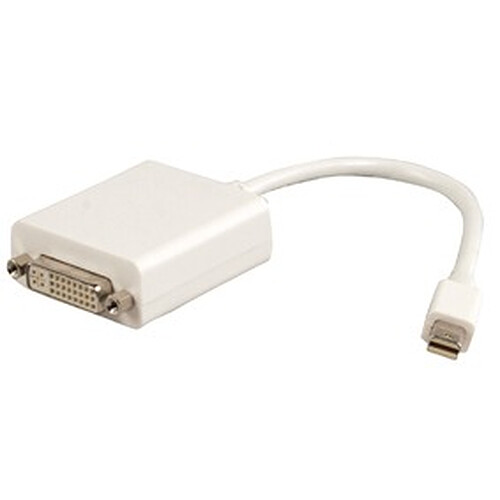 Câble Mini DisplayPort mâle / DVI femelle (0.2 mètre) pas cher